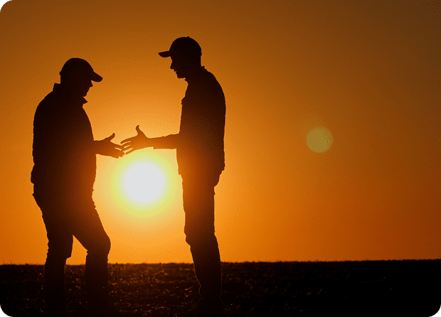 Two people silhouetted against a sunset, engaged in conversation.